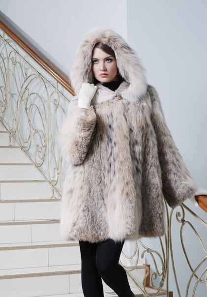 Меха из рыси 