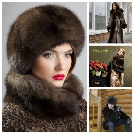 «Царь пушнины» или «мягкое золото»