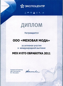 мех и его обработка